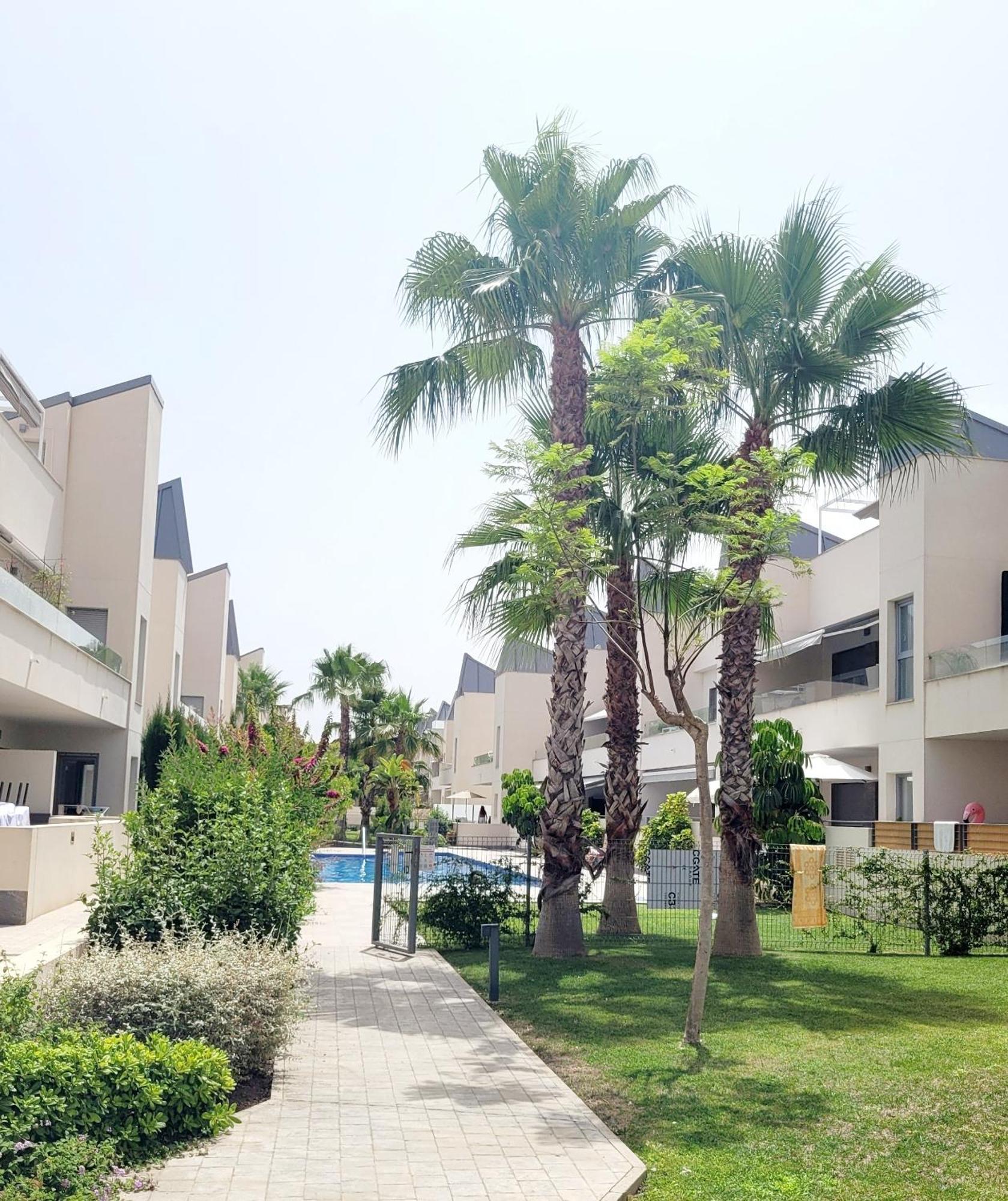 Villa Amalia 25-1, Torrevieja Exterior foto